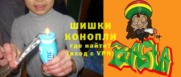 ешки Горняк