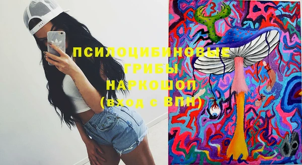 стафф Горнозаводск