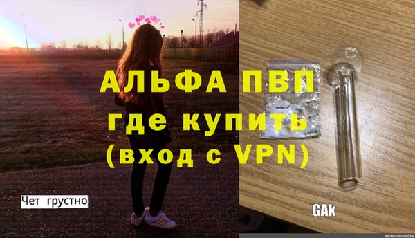 стаф Гусев