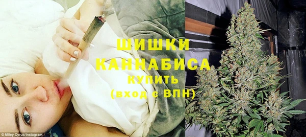 ешки Горняк
