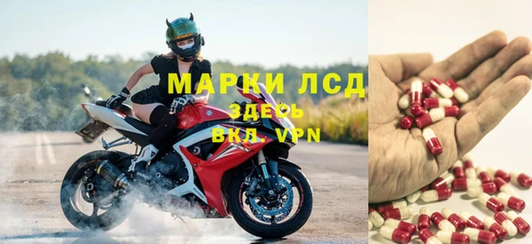 стафф Горнозаводск
