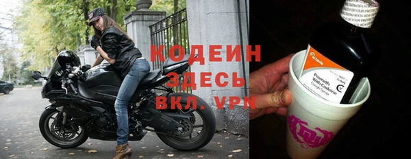 ешки Горняк