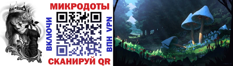 Купить  Кашира  Галлюциногенные грибы Cubensis 